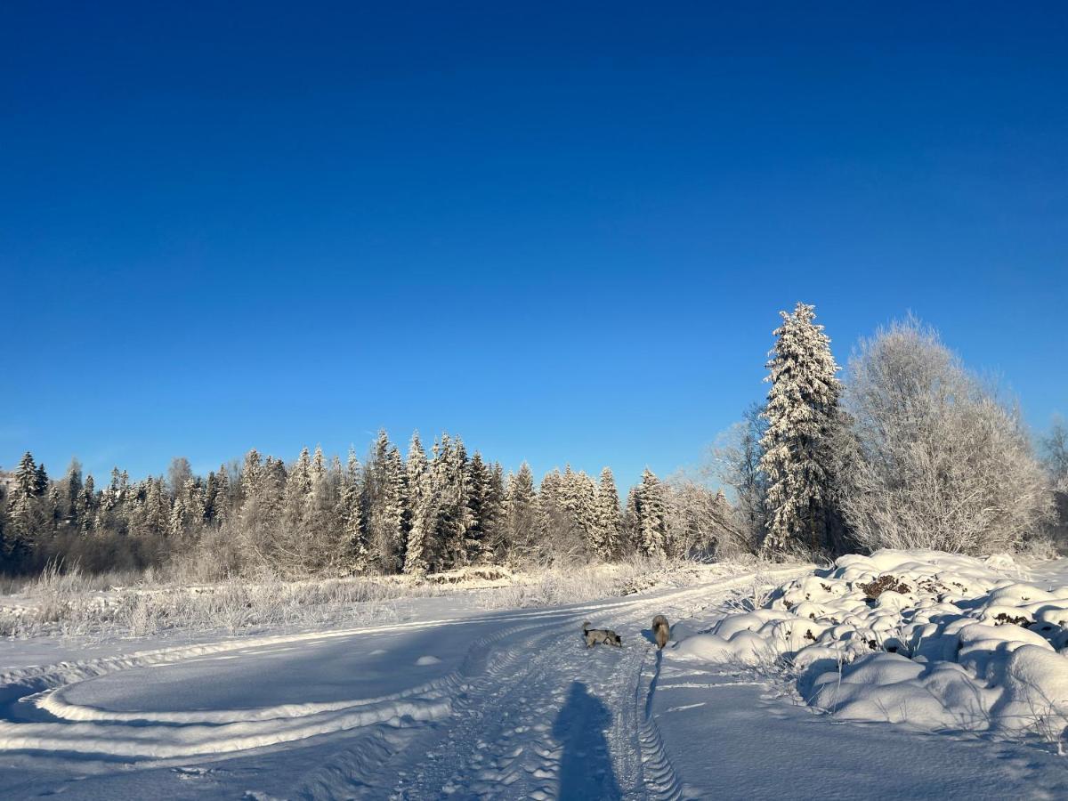 Pokoje U Danusi Czarna Góra Exterior foto